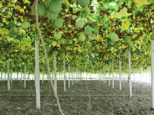 天寶2號基地展示