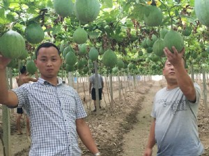 天寶2號(hào)基地展示
