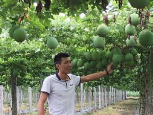 天寶2號(hào)基地展示