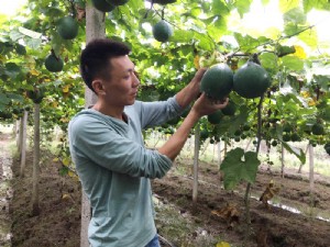 天寶2號(hào)基地展示