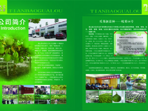 天寶瓜蔞種植技術指導