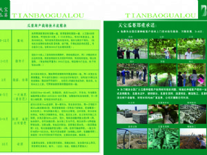 天寶瓜蔞種植技術指導